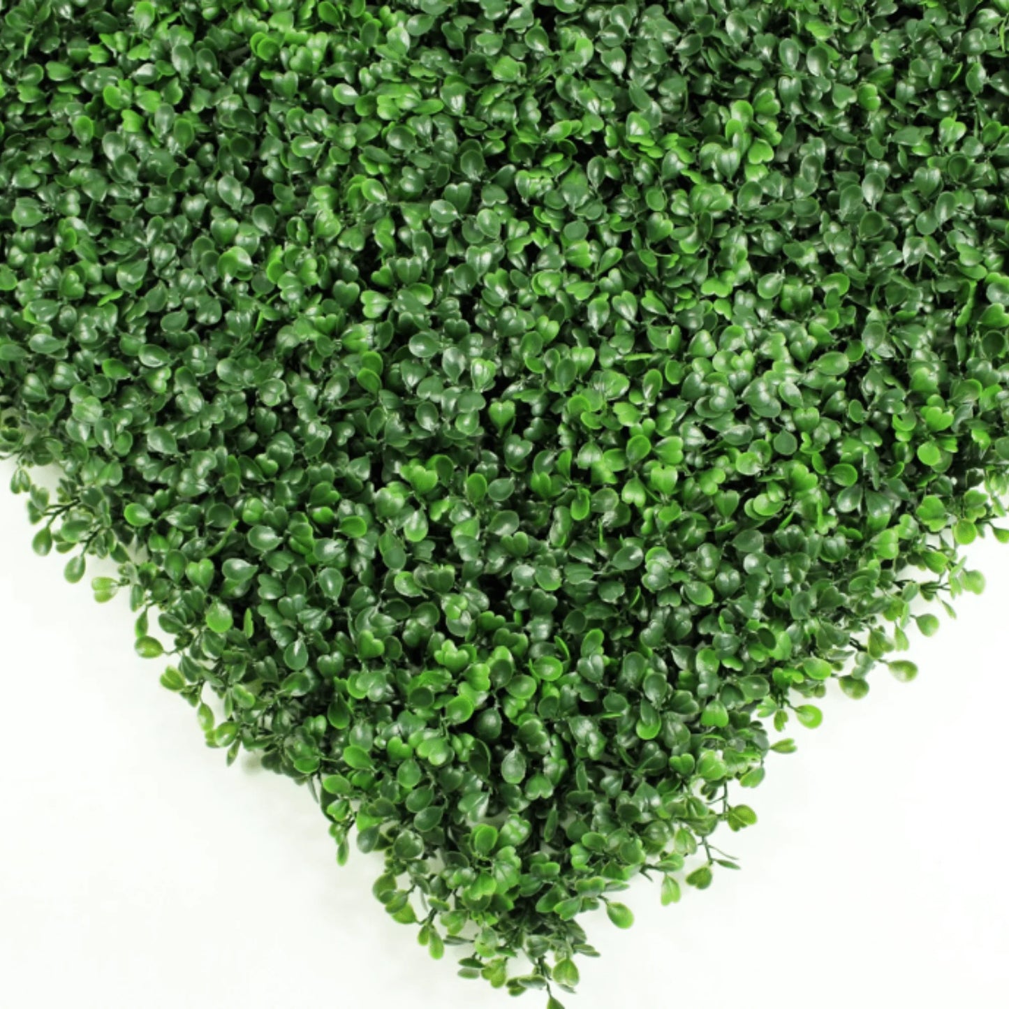 Dark Artificial Boxwood Wall Panel 40" x 40" 11SQ FT