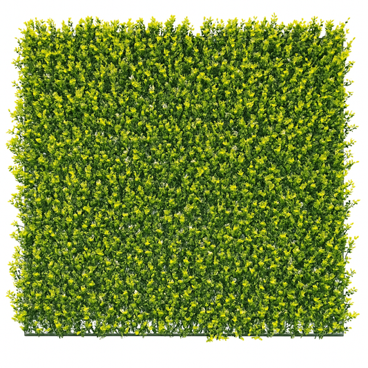 Yellow English Artificial Boxwood Wall 40" x 40" 11SQ FT UV Resistant