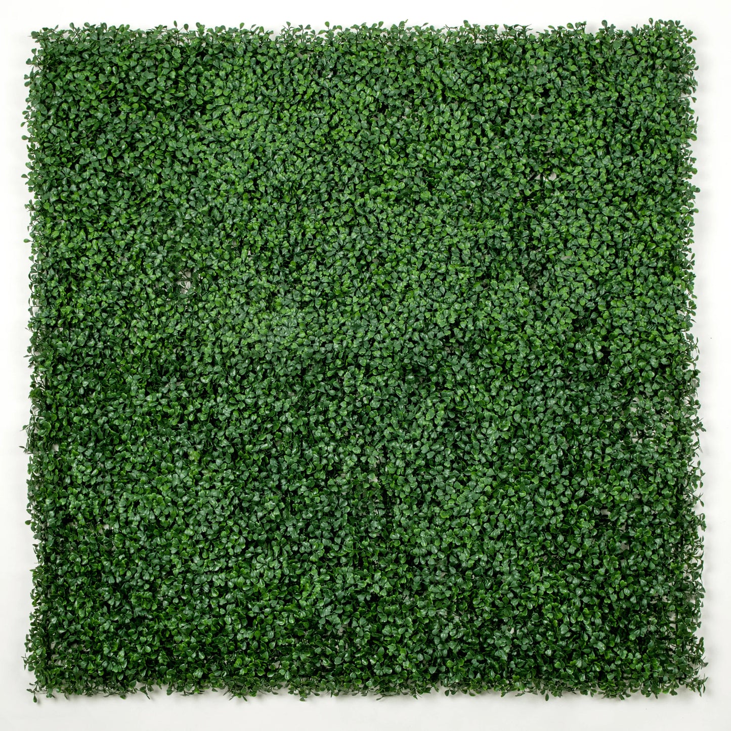 Dark Artificial Boxwood Wall Panel 40" x 40" 11SQ FT