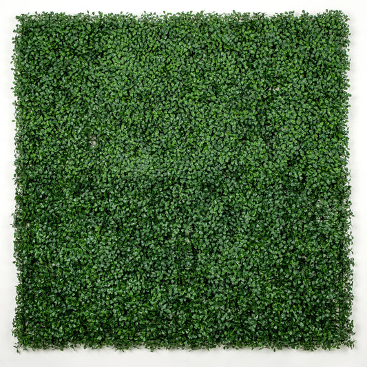 Dark Artificial Boxwood Wall Panel 40" x 40" 11SQ FT