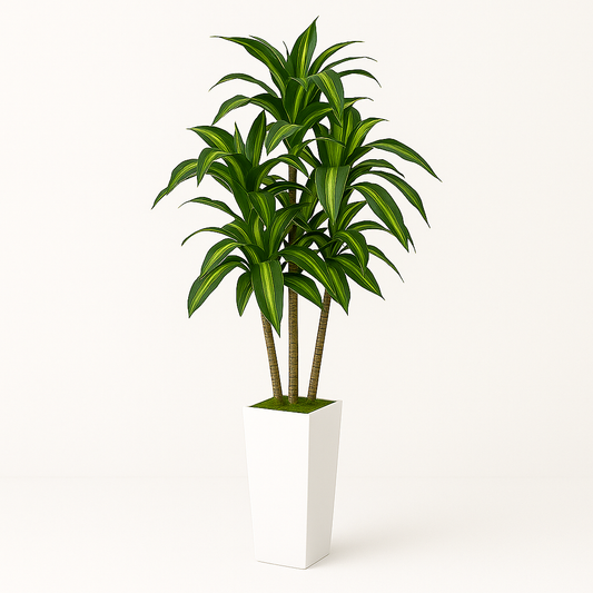 Artificial Dracaena Tree 5ft