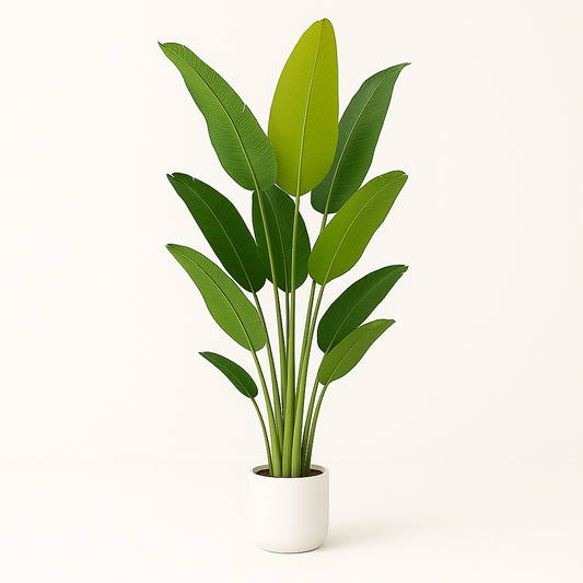 Artificial Bird of Paradise Plant - 6.5Ft Tall