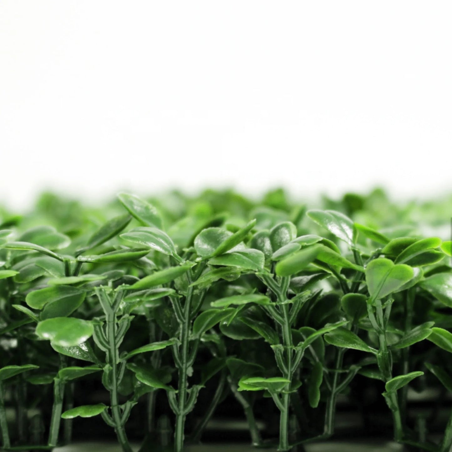 Dark Artificial Boxwood Wall Panel 40" x 40" 11SQ FT