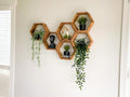 Hexagon Wall Shelves, Set of 6 Hexagon Shelves - 3.5" Depth