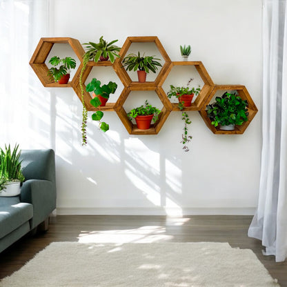 Floating Plant Shelves Hexagon Set - 5.5" Deep Wall Mounted Plant Display