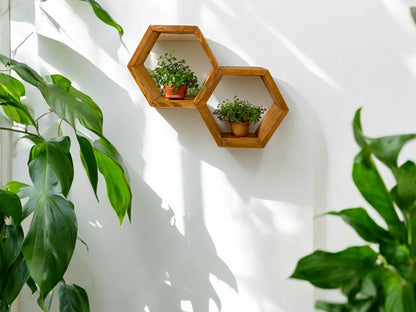 Floating Plant Shelves Hexagon Set - 5.5" Deep Wall Mounted Plant Display