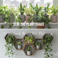 Plant-Optimized Hexagon Floating Shelves - Handcrafted Wood Display for Plant Parents (9.25" Deep)