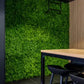 Lush Fern Artificial Green Wall 40" x 40" 11SQ FT UV Resistant