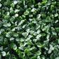 Dark Artificial Boxwood Wall Panel 40" x 40" 11SQ FT