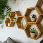 Floating Plant Shelves Hexagon Set - 5.5" Deep Wall Mounted Plant Display