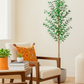 Artificial Olive Tree - 6ft (2 Pack)