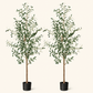 Artificial Olive Tree - 6ft (2 Pack)