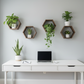 Plant-Optimized Hexagon Floating Shelves - Handcrafted Wood Display for Plant Parents (9.25" Deep)