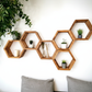 Floating Plant Shelves Hexagon Set - 5.5" Deep Wall Mounted Plant Display