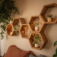 Floating Plant Shelves Hexagon Set - 5.5" Deep Wall Mounted Plant Display