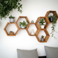Floating Plant Shelves Hexagon Set - 5.5" Deep Wall Mounted Plant Display