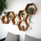 Floating Plant Shelves Hexagon Set - 5.5" Deep Wall Mounted Plant Display