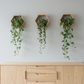 Plant-Optimized Hexagon Floating Shelves - Handcrafted Wood Display for Plant Parents (9.25" Deep)