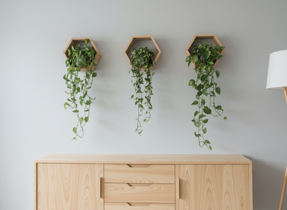Plant-Optimized Hexagon Floating Shelves - Handcrafted Wood Display for Plant Parents (9.25" Deep)