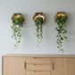 Rechargeable Magnetic Lights for Hexagon Shelves - 3 Pack