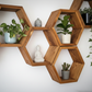 Floating Plant Shelves Hexagon Set - 5.5" Deep Wall Mounted Plant Display