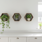 Plant-Optimized Hexagon Floating Shelves - Handcrafted Wood Display for Plant Parents (9.25" Deep)