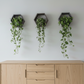 Plant-Optimized Hexagon Floating Shelves - Handcrafted Wood Display for Plant Parents (9.25" Deep)