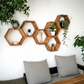 Floating Plant Shelves Hexagon Set - 5.5" Deep Wall Mounted Plant Display