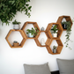 Floating Plant Shelves Hexagon Set - 5.5" Deep Wall Mounted Plant Display
