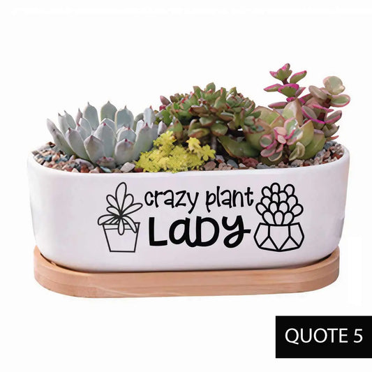 Crazy Plant Lady Planter