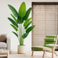 Artificial Bird of Paradise Plant - 6.5Ft Tall