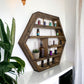 Essential Oil Shelf -  22"x 19"