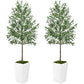 Artificial Olive Tree with Planter - 7ft - 2 PCS