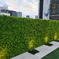 Lush Fern Artificial Green Wall 40" x 40" 11SQ FT UV Resistant