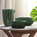 Cactus Planter Set