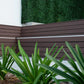 Dark Artificial Boxwood Wall Panel 40" x 40" 11SQ FT