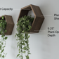 Plant-Optimized Hexagon Floating Shelves - Handcrafted Wood Display for Plant Parents (9.25" Deep)