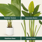 Artificial Bird of Paradise Plant - 6.5Ft Tall