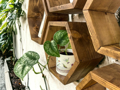 Set of 6 Honeycomb Shelves - 5.5" Depth