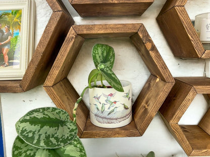 Set of 6 Honeycomb Shelves - 5.5" Depth