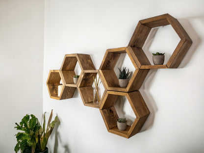 Floating Plant Shelves Hexagon Set - 5.5" Deep Wall Mounted Plant Display