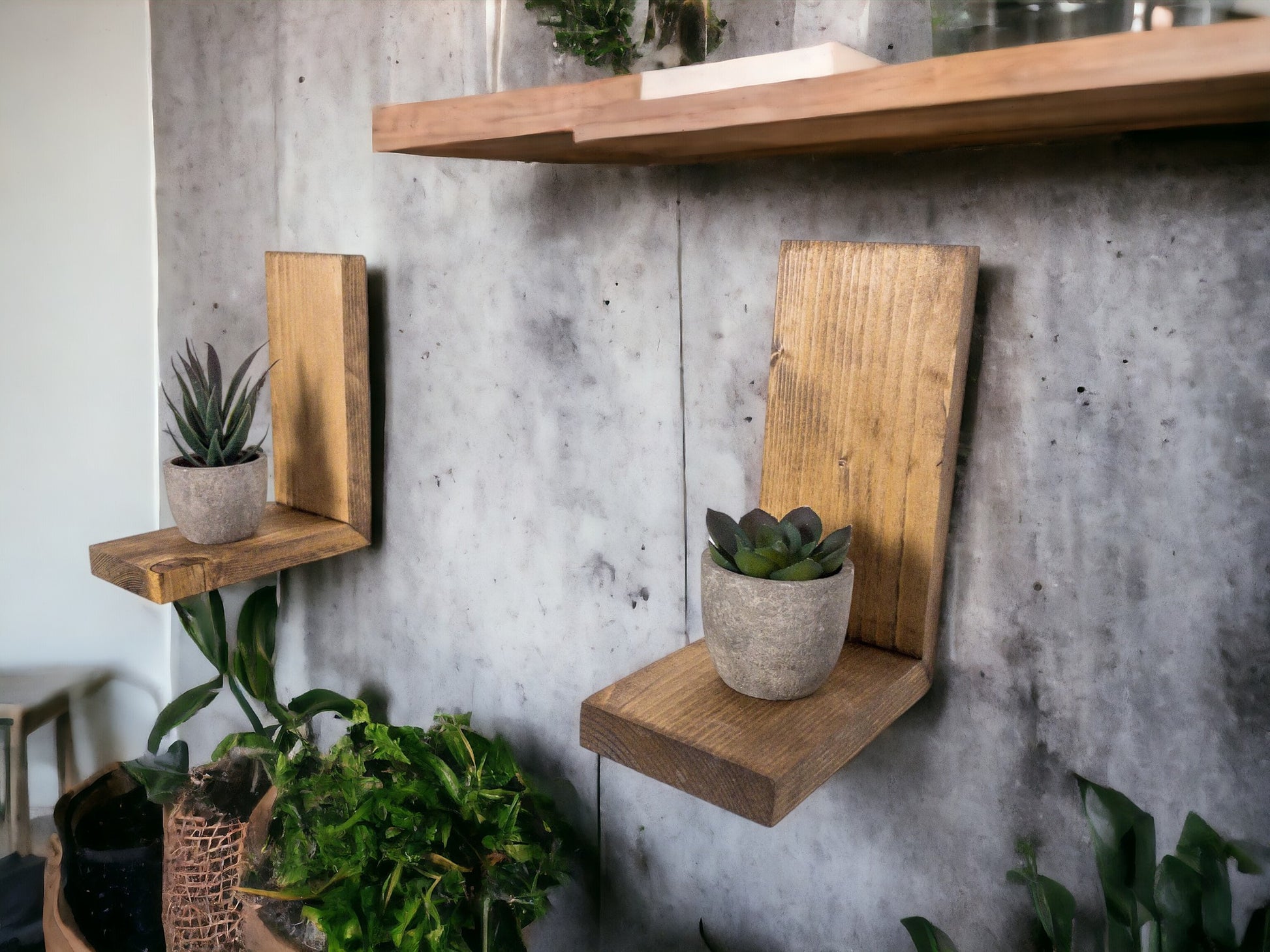 shelves for plants indoor wall Wall Plant Shelf – DesignedByTaylor