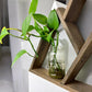 5 Peak Mountain Shelf - 42" x 19"