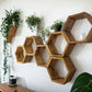 Floating Plant Shelves Hexagon Set - 5.5" Deep Wall Mounted Plant Display