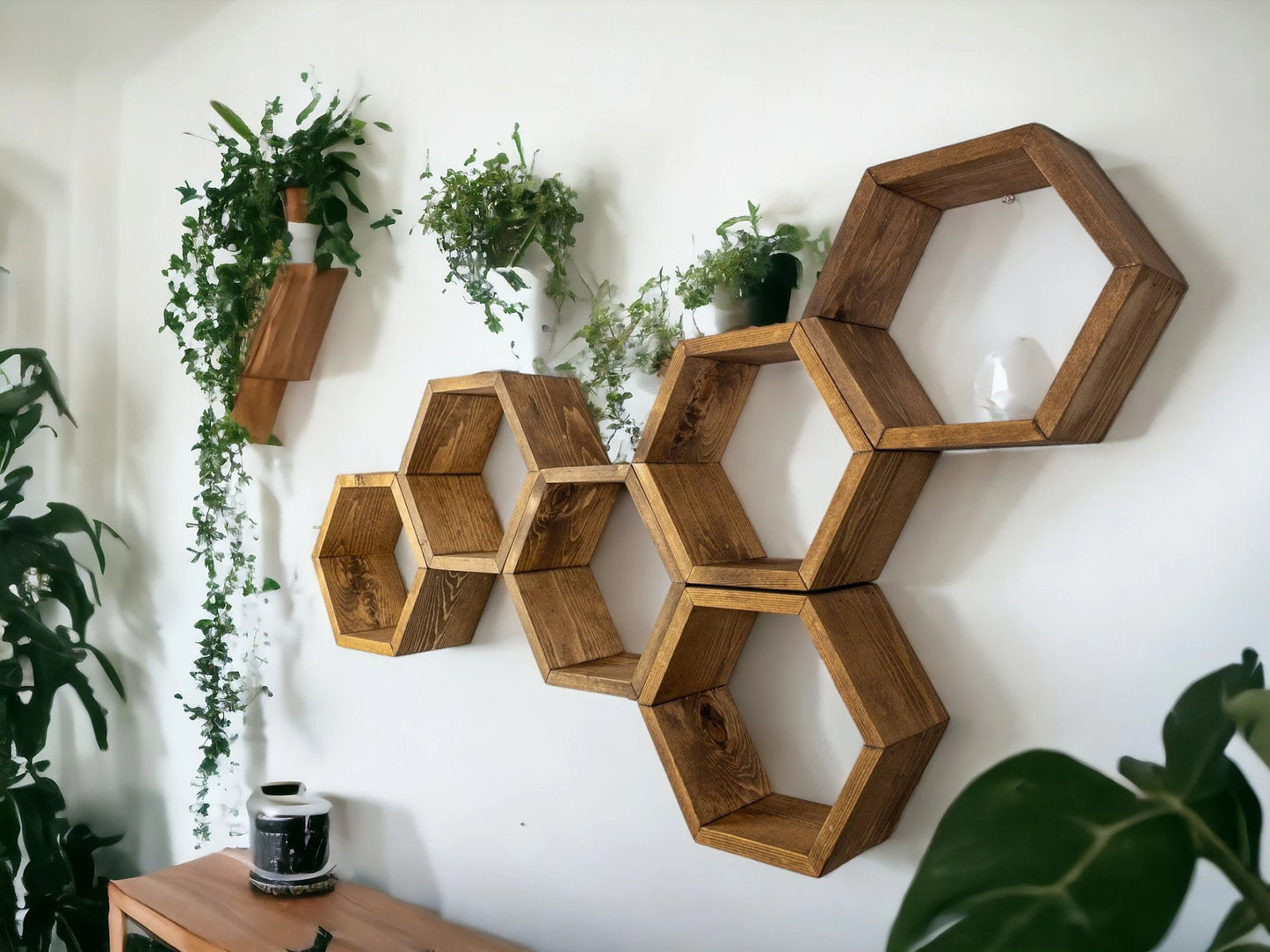 Floating Plant Shelves Hexagon Set - 5.5" Deep Wall Mounted Plant Display