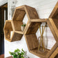 Floating Plant Shelves Hexagon Set - 5.5" Deep Wall Mounted Plant Display