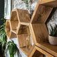 Floating Plant Shelves Hexagon Set - 5.5" Deep Wall Mounted Plant Display