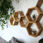 Floating Plant Shelves Hexagon Set - 5.5" Deep Wall Mounted Plant Display