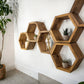 Floating Plant Shelves Hexagon Set - 5.5" Deep Wall Mounted Plant Display