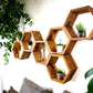 Floating Plant Shelves Hexagon Set - 5.5" Deep Wall Mounted Plant Display